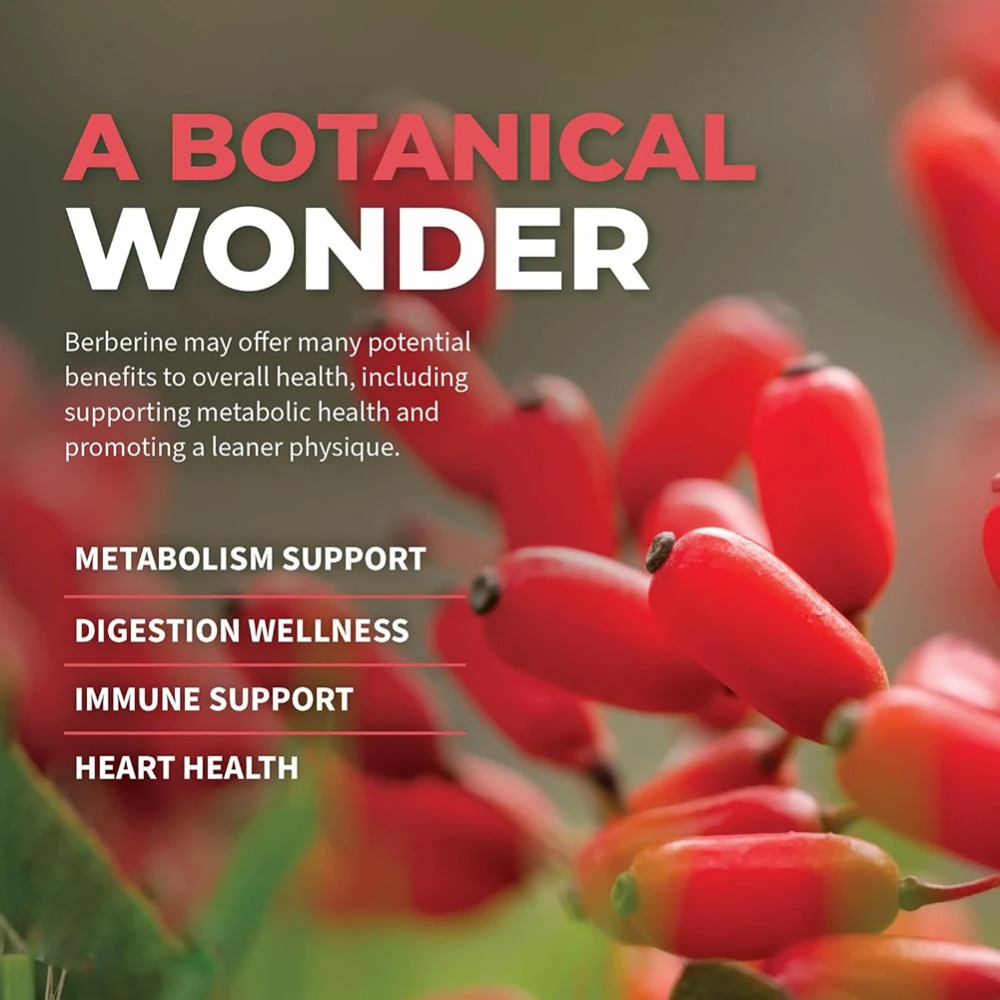 Berberina HCl z cynamonem cejl – Berberine Hcl Capsule recenzja i cena