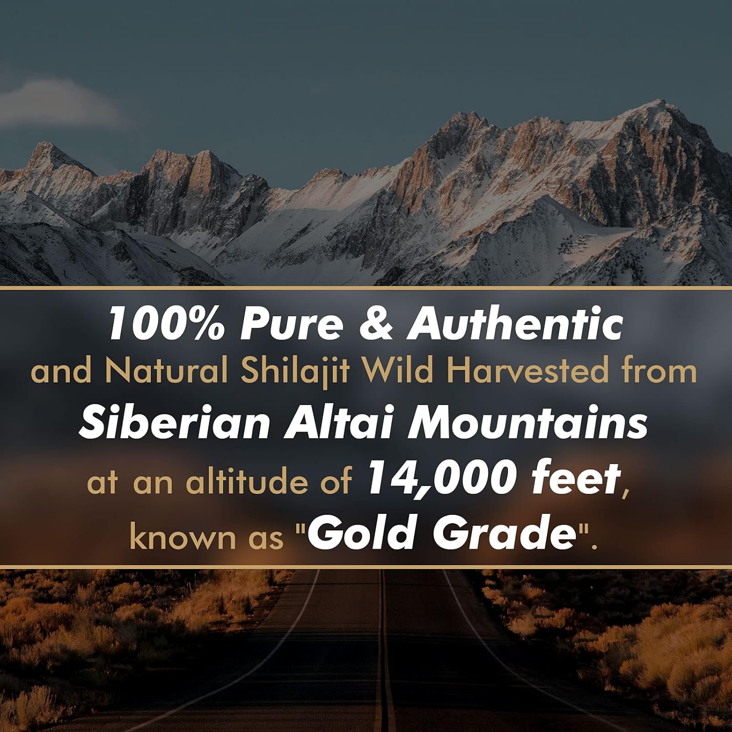 Oryginalna czysta żywica Shila – Shilajit Resin Pure recenzja i cena