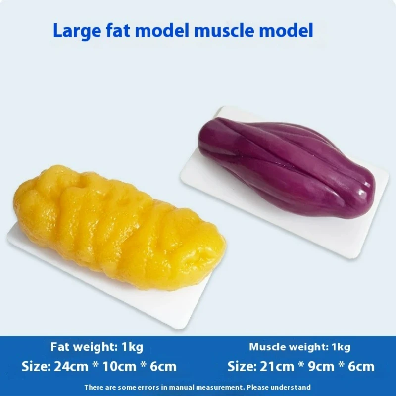Repliki ludzkich mięśni i tkan – Nutrition Of Fitness recenzja i cena